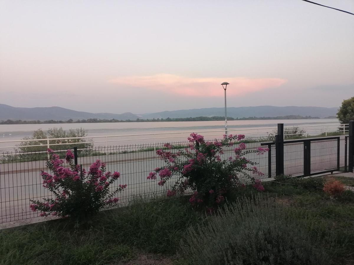 Apartman Sandrina Golubac Εξωτερικό φωτογραφία